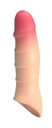 Funda peneana