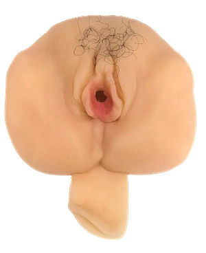 vagina en cyber